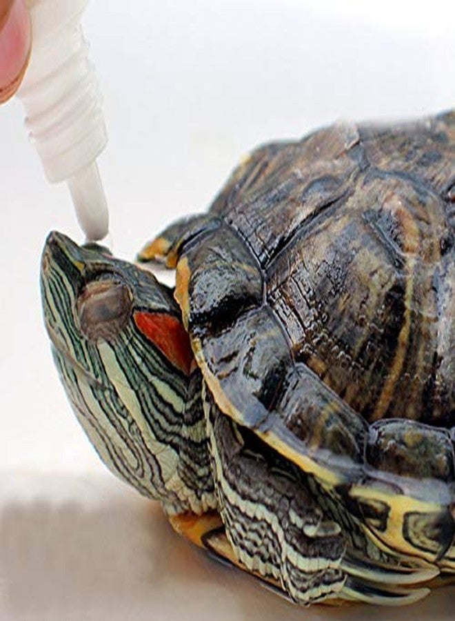 رعاية الحيوانات الأليفة الدولية قطرة عين السلاحف من شركة Pet Care International (PCI) لعلاج تورم والتهاب وإصابة عيون السلاحف السليمة (30 مل) - Image 3